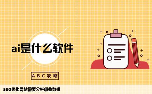 SEO优化网站需要分析哪些数据