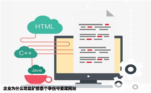 企业为什么吃盐矿修条个季伤守要建网站