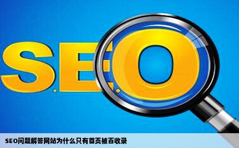 SEO问题解答网站为什么只有首页被百收录