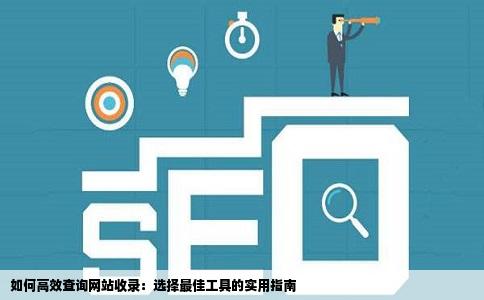 我想查自己网站的收录用什么工具好