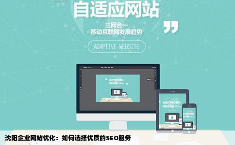 我的企业想做网站优化有没有好一点的沈阳SEO