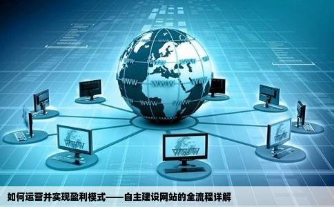 想自己建网站需要怎么运营是什么盈利模式