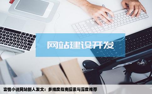 有什么比较好的言情小说网站新人发文