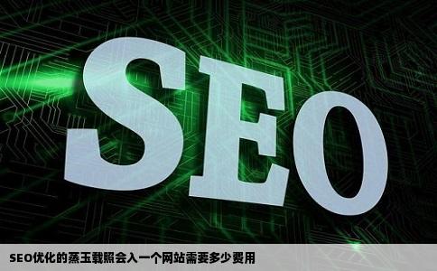 SEO优化的蒸玉载照会入一个网站需要多少费用