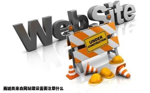 商城类来自网站建设需要注意什么