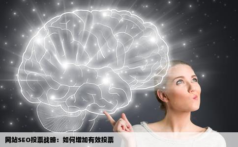 什么是网站SEO投票战略如何增加有效投票